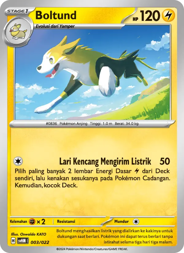 Boltund Pokemon card