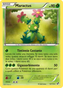 Maractus
