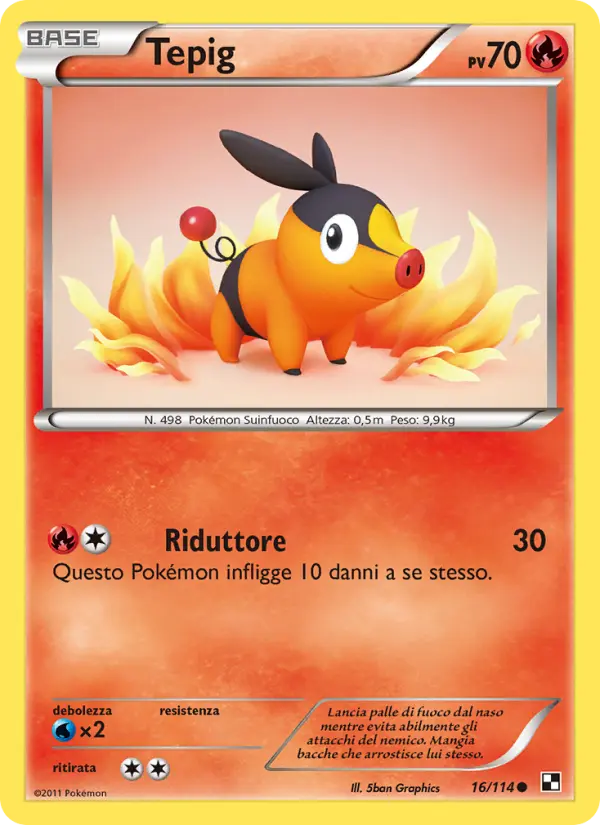 Tepig card image