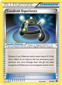 Condividi Esperienza
