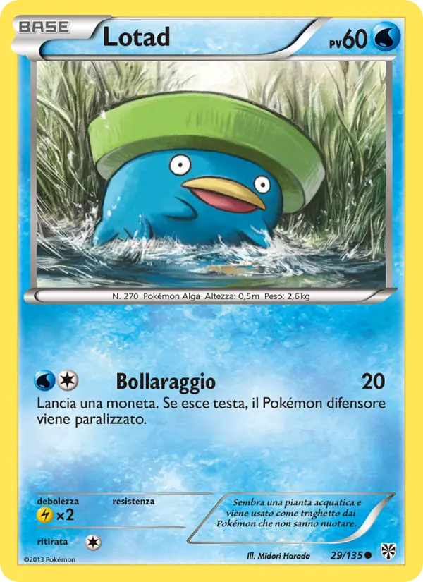 Lotad card image