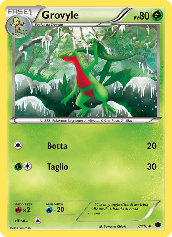 Grovyle card image