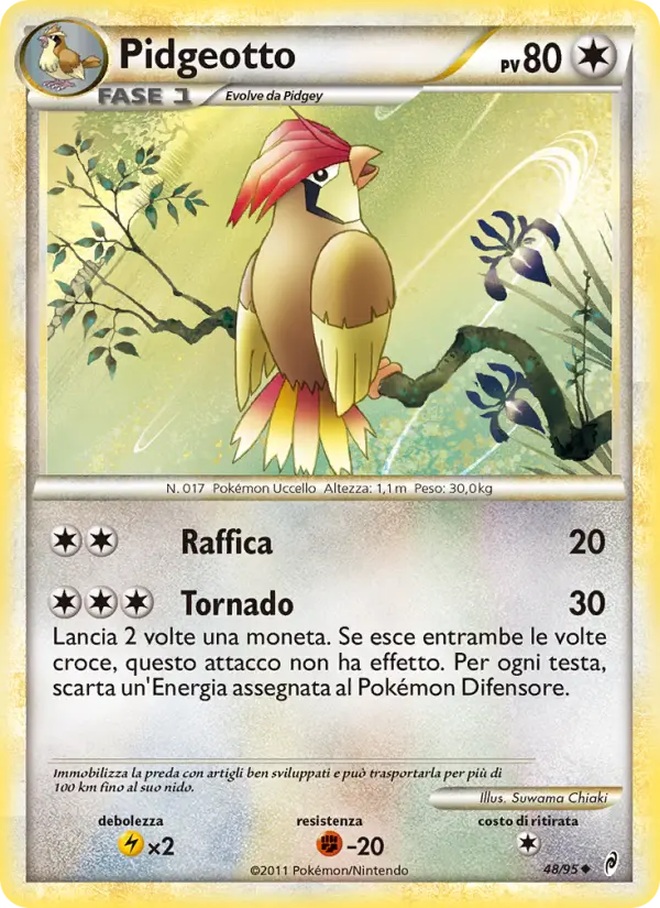 Pidgeotto (Italian)