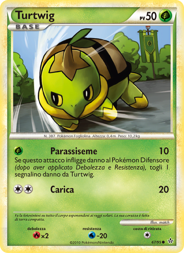 Turtwig