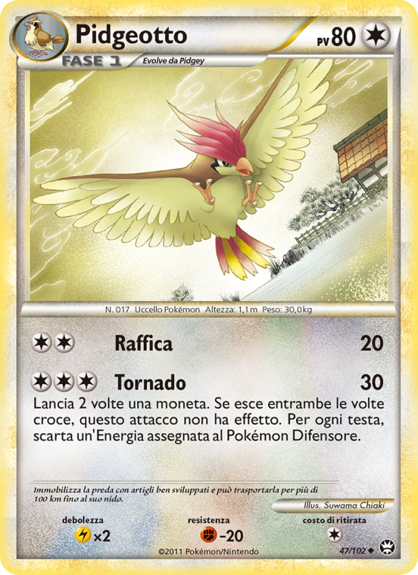 Pidgeotto