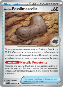 Vecchio Fossilmascella