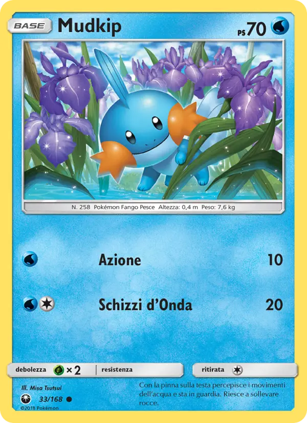 Mudkip card image