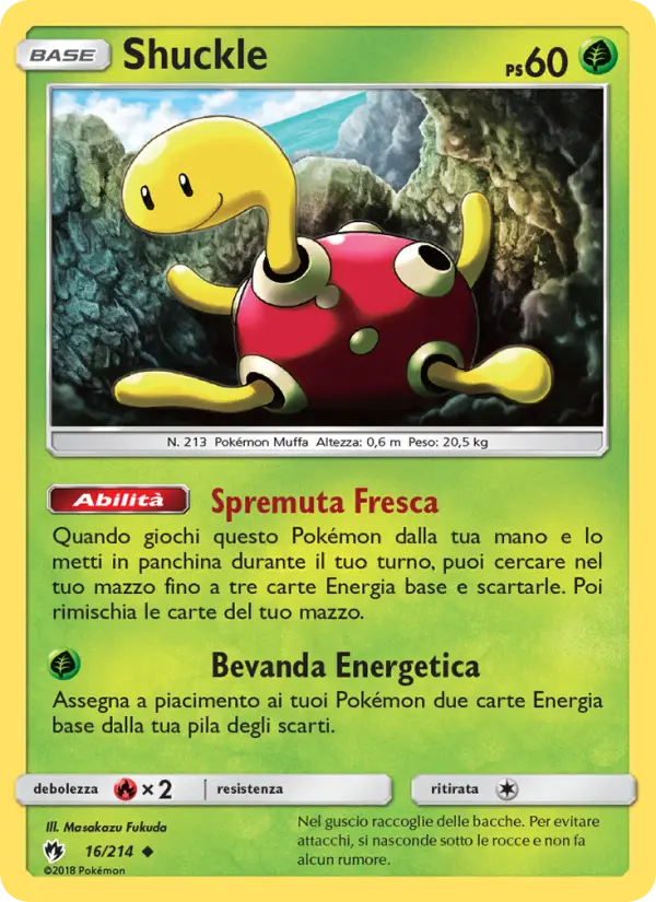 Shuckle card image