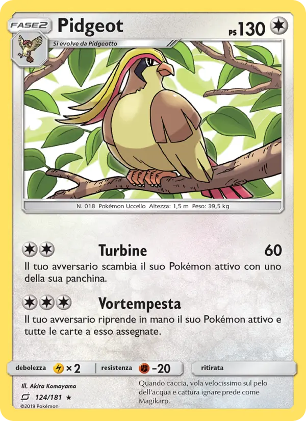 Pidgeot card image