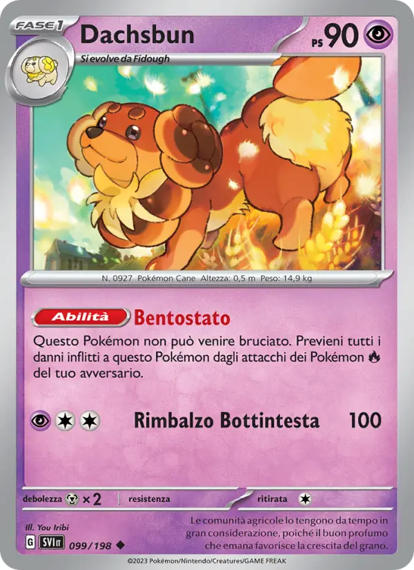 Dachsbun card image