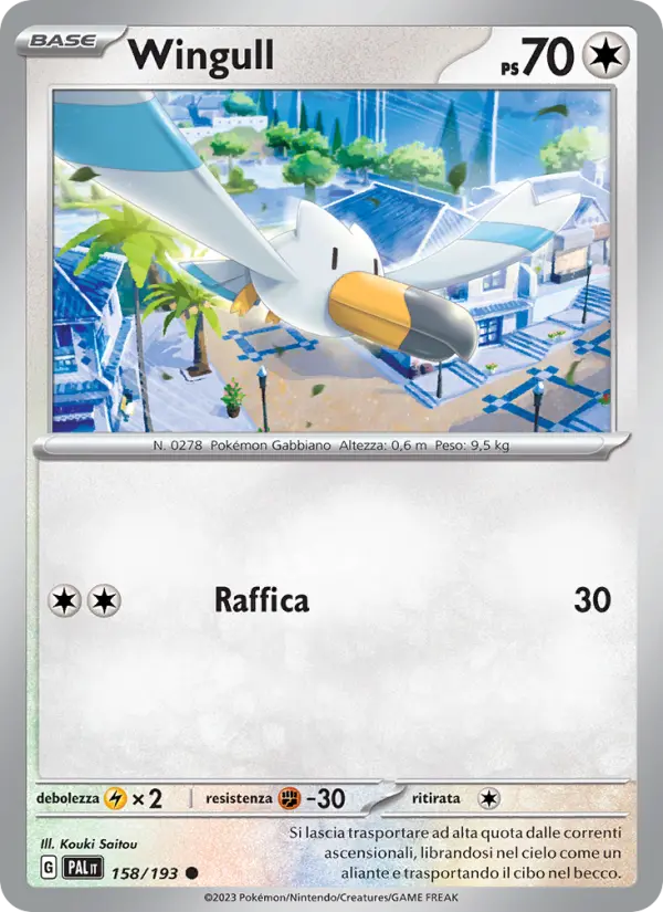 Wingull card image