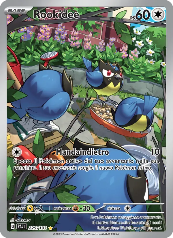 Rookidee card image
