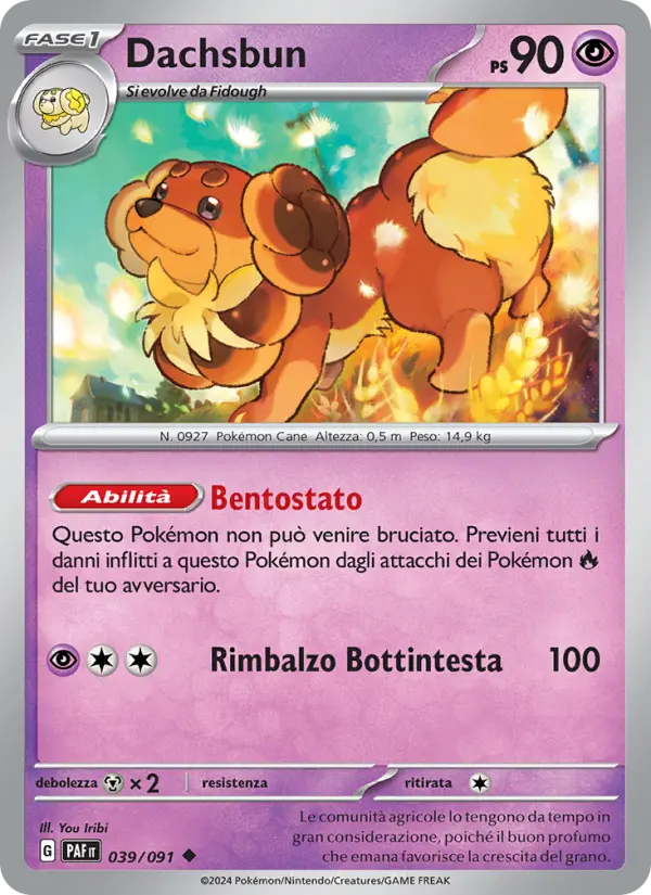 Dachsbun card image