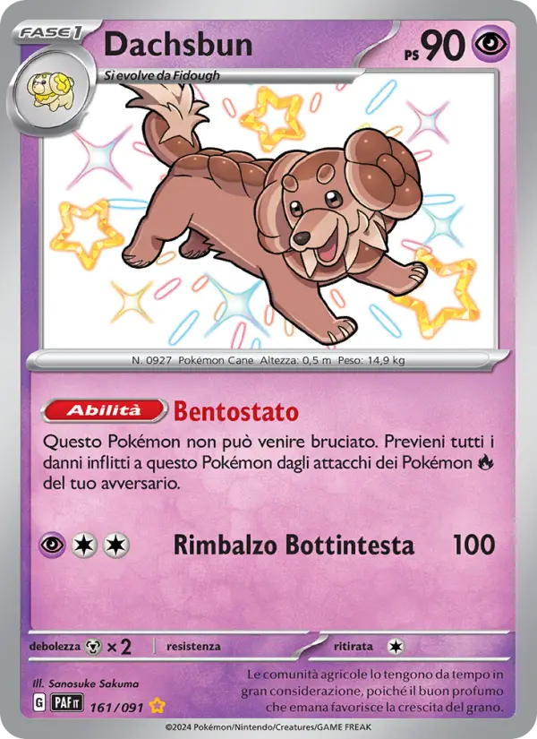 Dachsbun card image