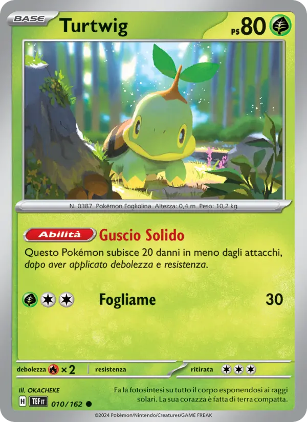 Turtwig card image