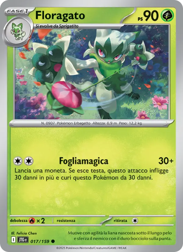 Floragato card image
