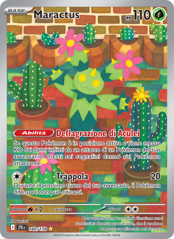 Maractus