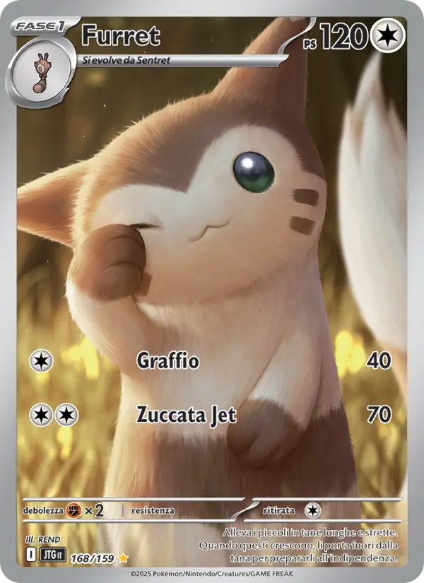 Furret card image