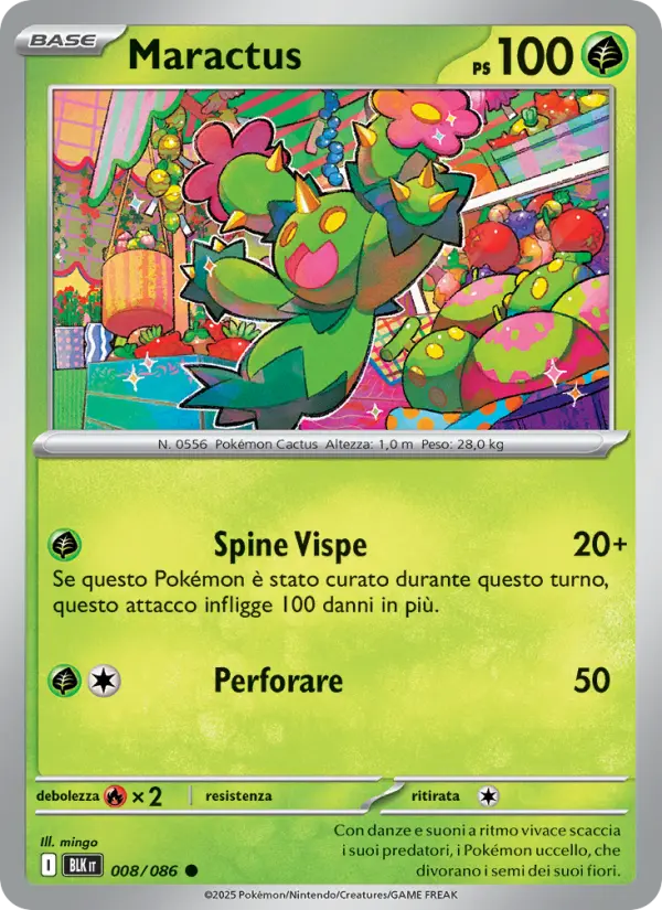 Maractus (Italian)