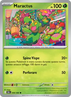 Maractus