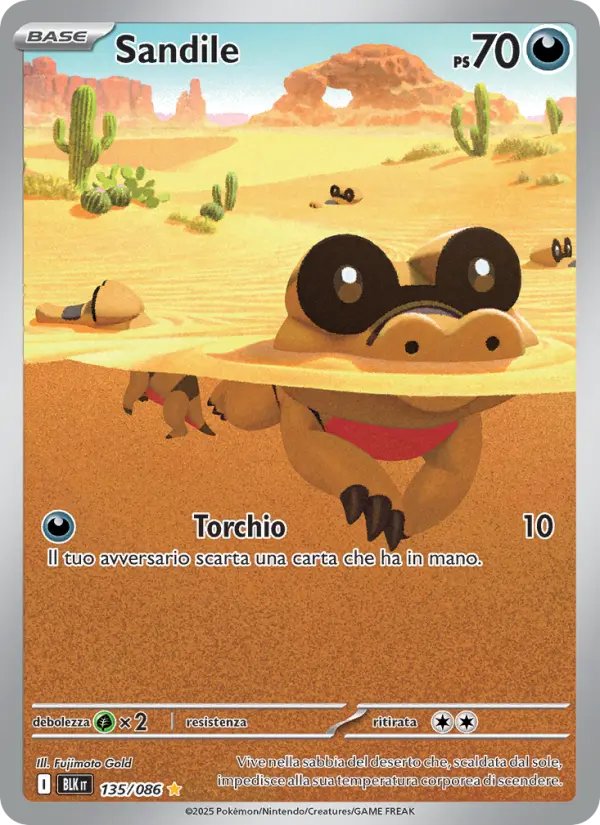 Sandile card image