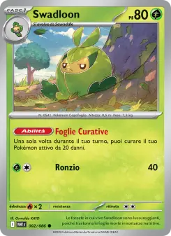 Swadloon