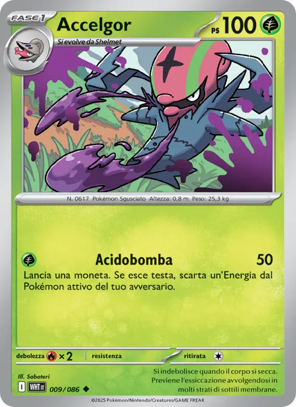 Accelgor card image