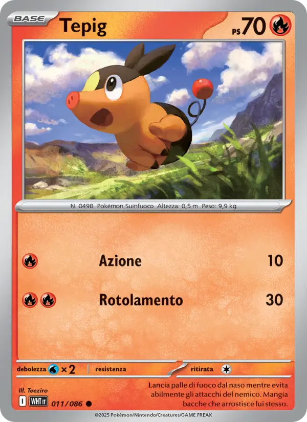 Tepig card image