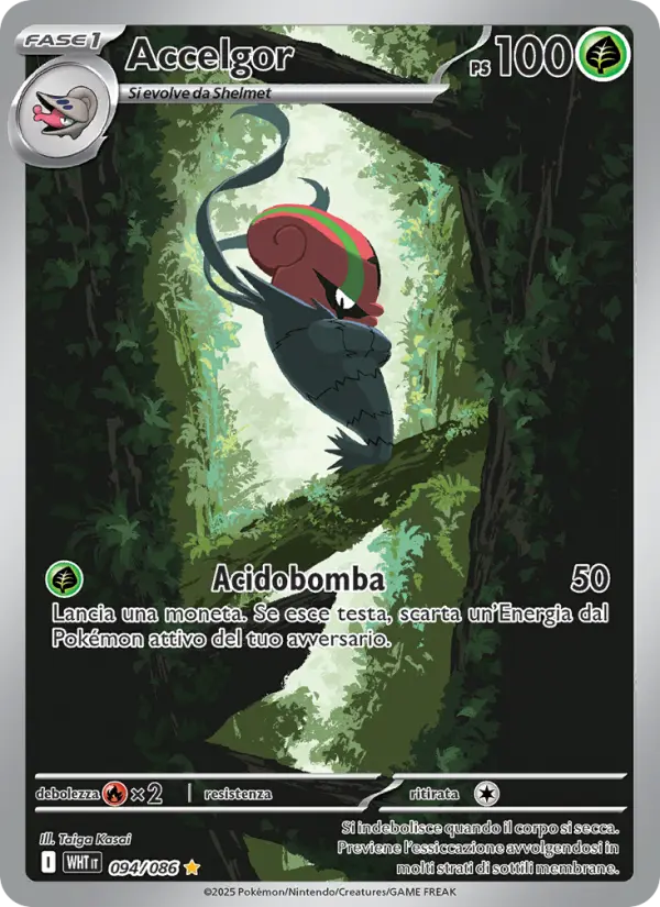 Accelgor card image
