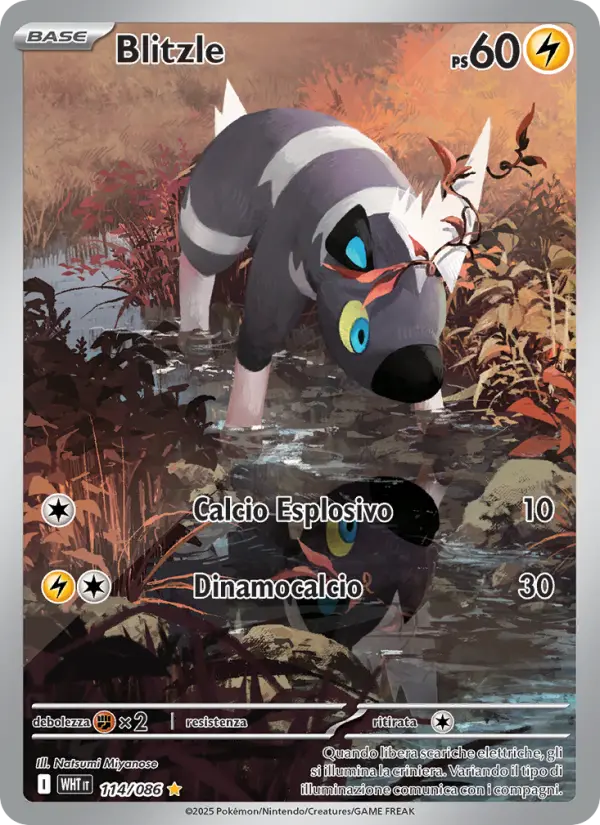 Blitzle card image