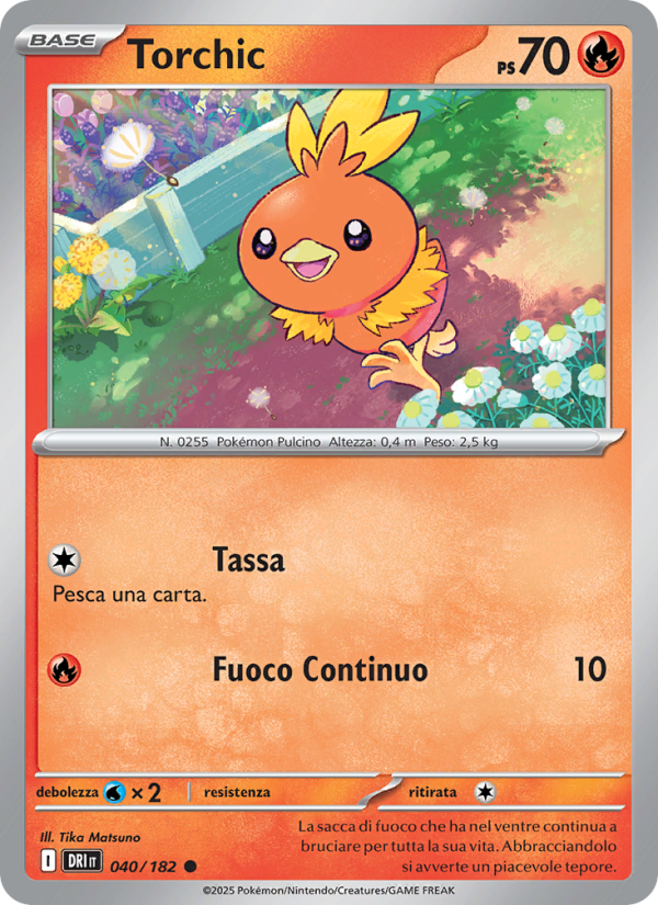 Torchic