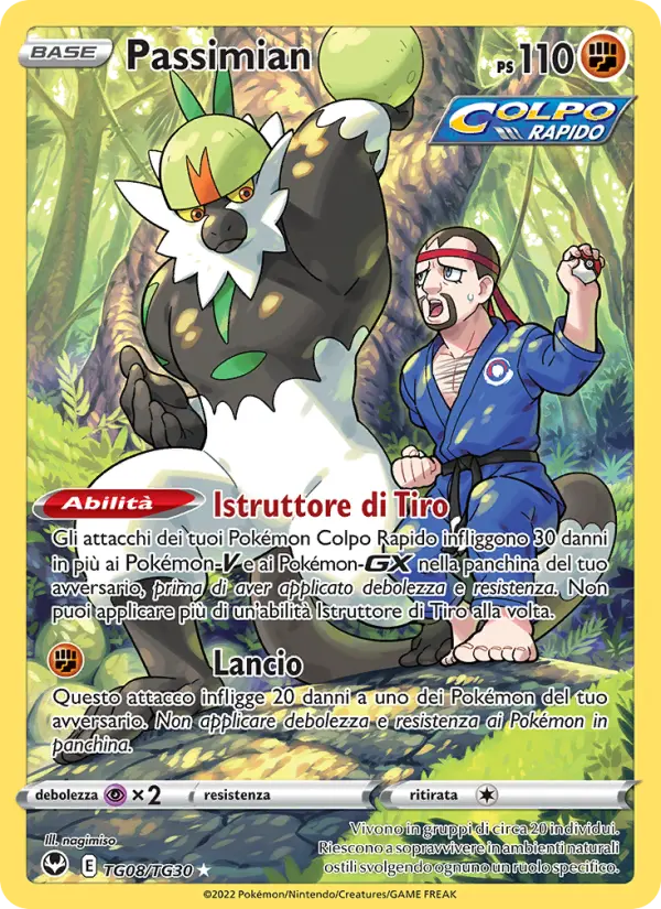 Passimian card image