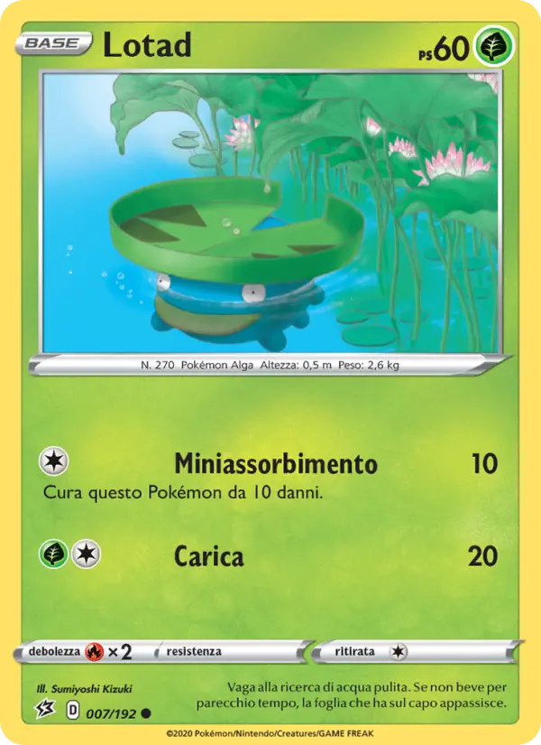 Lotad card image