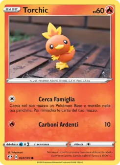 Torchic