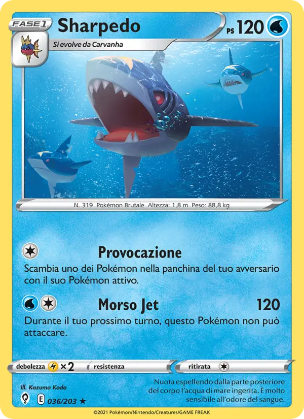 Sharpedo card image