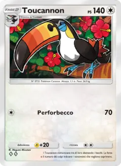 Toucannon