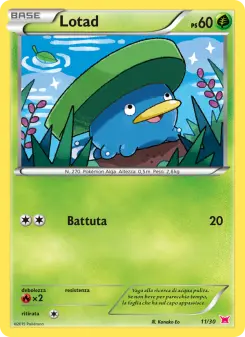 Lotad