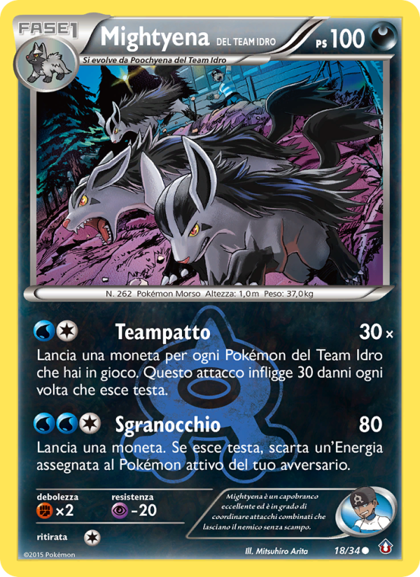 Team Aqua's Mightyena