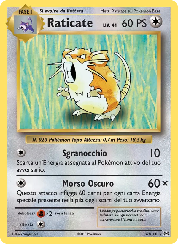 Raticate card image