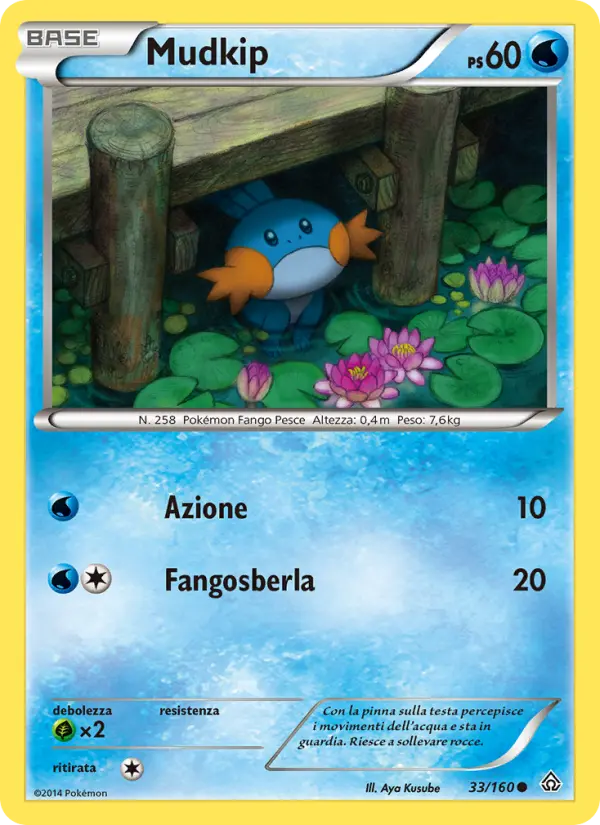 Mudkip card image