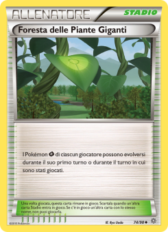 Foresta delle Piante Giganti