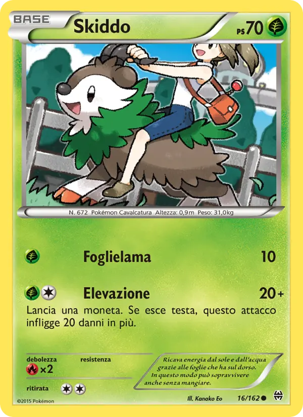 Skiddo card image