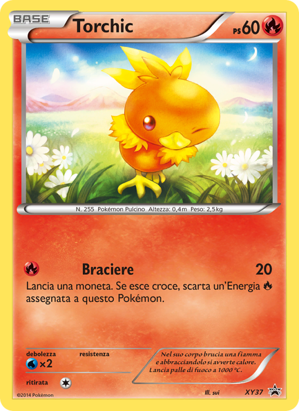 Torchic