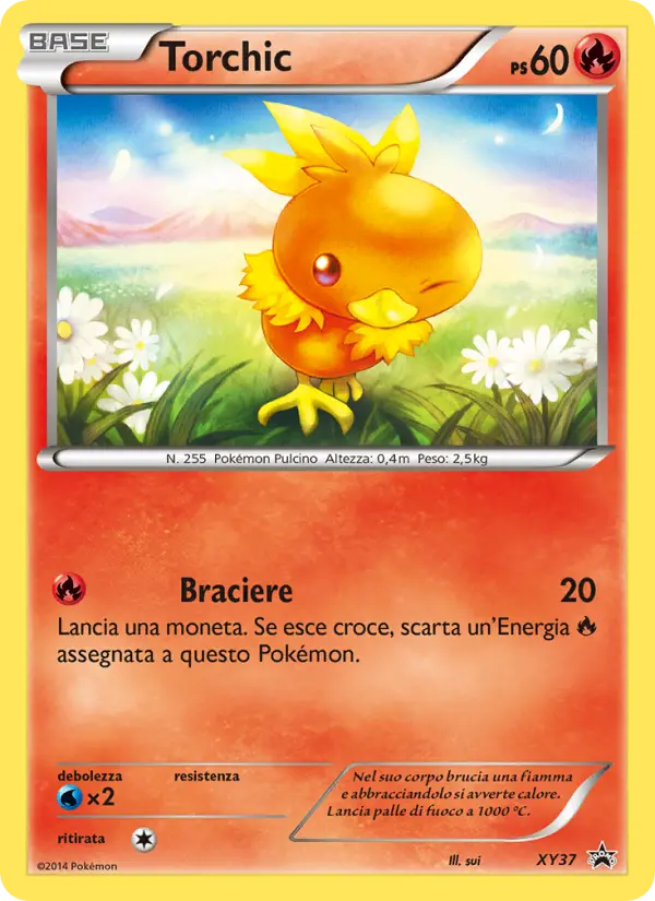 Torchic