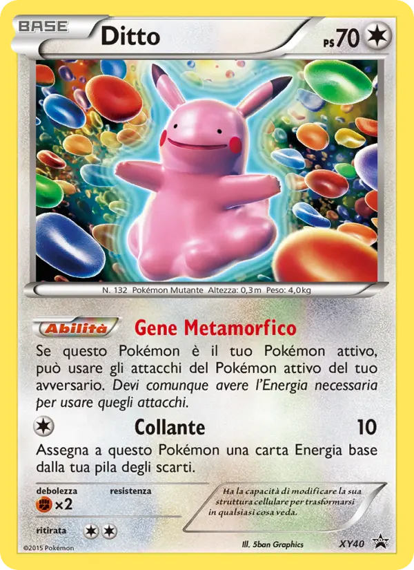Ditto