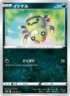 圓絲蛛 — 039