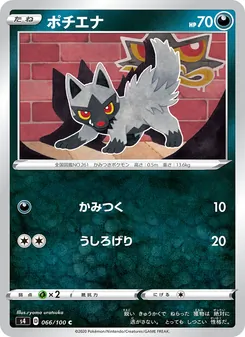 土狼犬 — 066