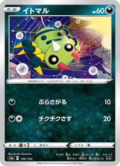 圓絲蛛 — 106