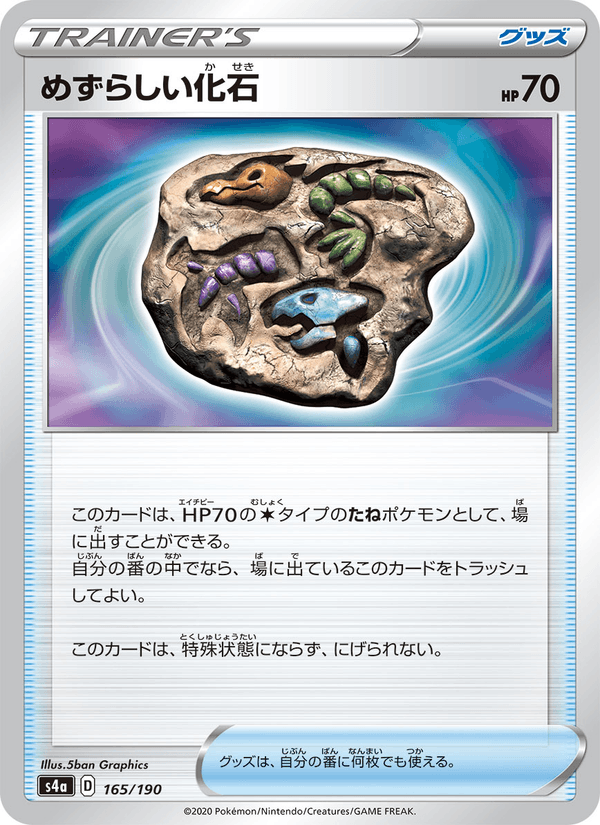 Rare Fossil