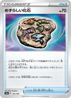 稀有化石 — 165